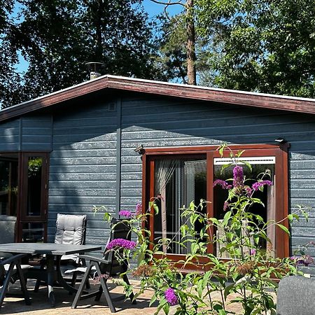 Dubbele Chalet Op Recreatiepark Topparken Op De Veluwe In Beekbergen Met Grote Vrije Tuin En Eigen Parkeerplaats المظهر الخارجي الصورة